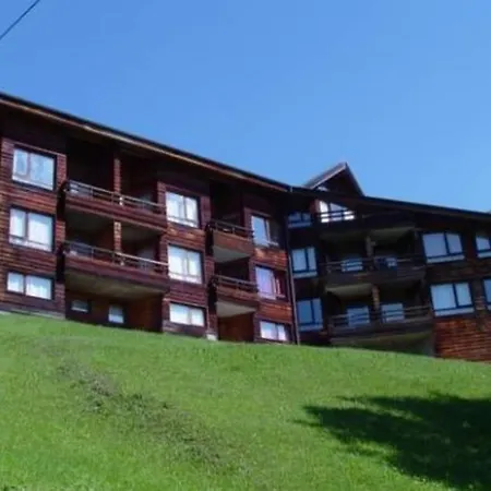 Lumineux Avec Terrasse, Parking Et Wifi Aux Gets - Fr-1-598-51 Apartment